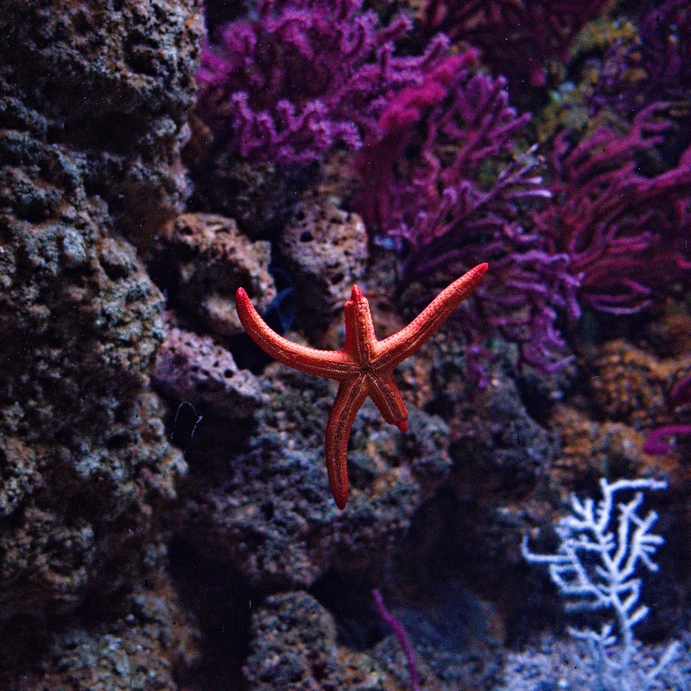 Gli Acquari Maremmani