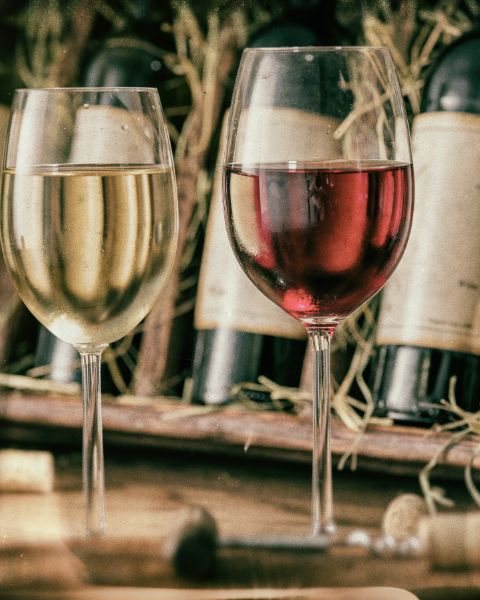 I vini veneti