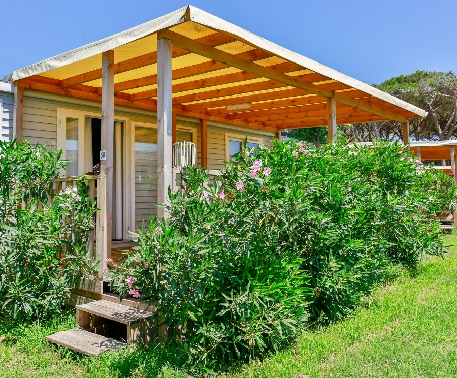 Una piccola casa in legno con veranda coperta, travi di supporto in legno e una porta bianca all'ingresso. Davanti ci sono cespugli verdi con fiori rosa e un prato soleggiato.