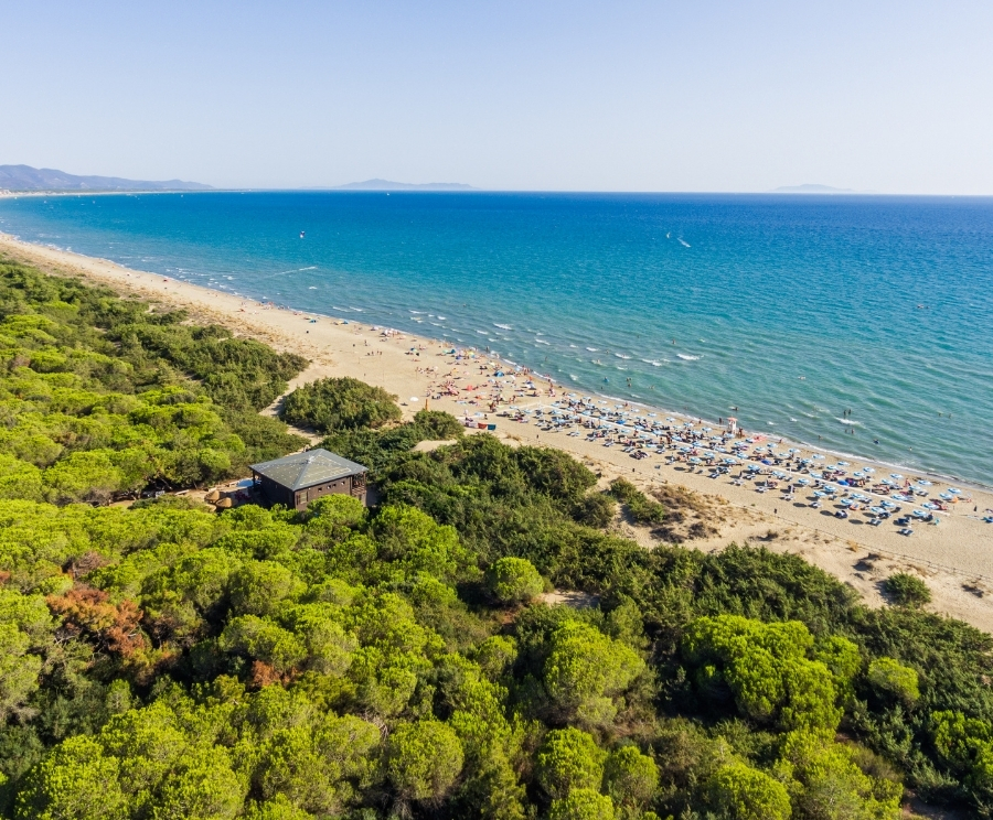 Veduta aerea di una spiaggia sabbiosa con mare azzurro e una pineta alle spalle; una piccola casetta tra gli alberi e numerosi ombrelloni e bagnanti sulla spiaggia.