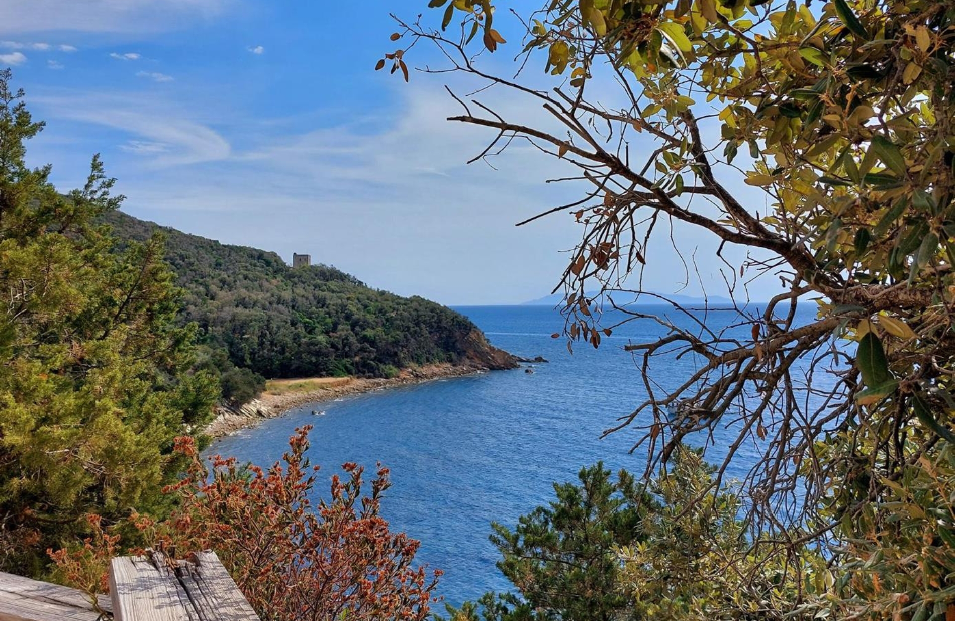 Coastal landscape with a blue sea along a tree-covered shoreline, a distant hilltop with a small tower, and foreground branches framing a wooden viewing deck.